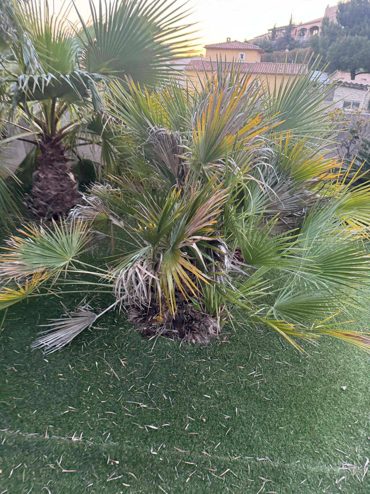 Realisation aménagement jardin 4