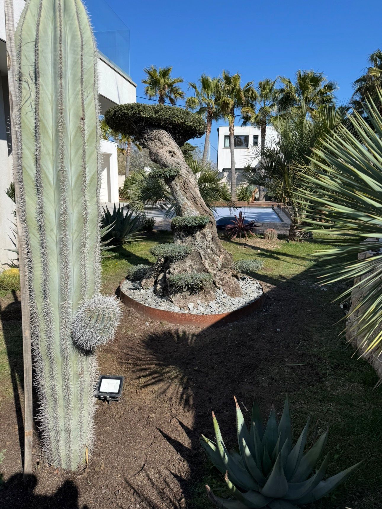 Realisation aménagement jardin 5