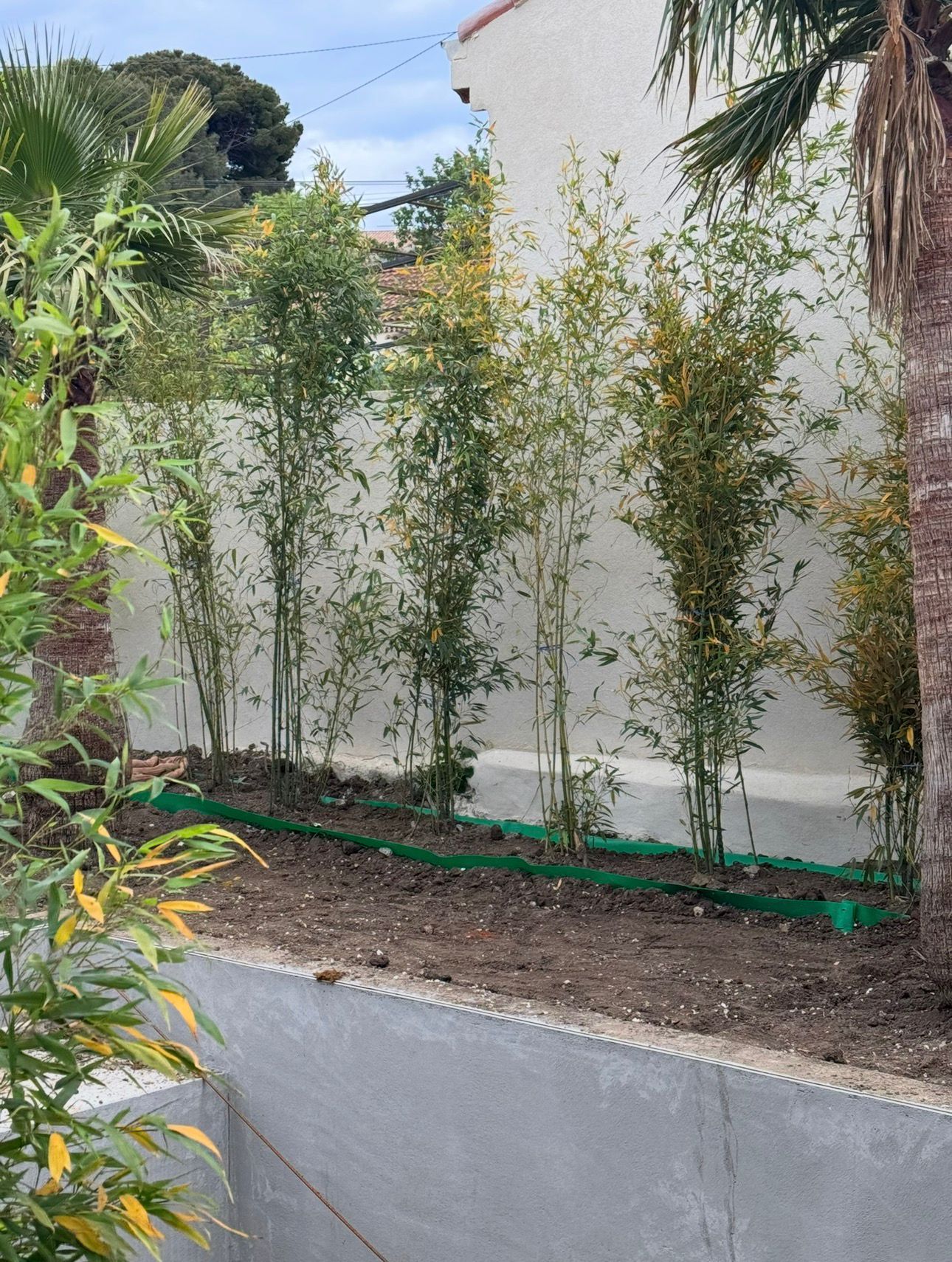 Realisation aménagement jardin 6