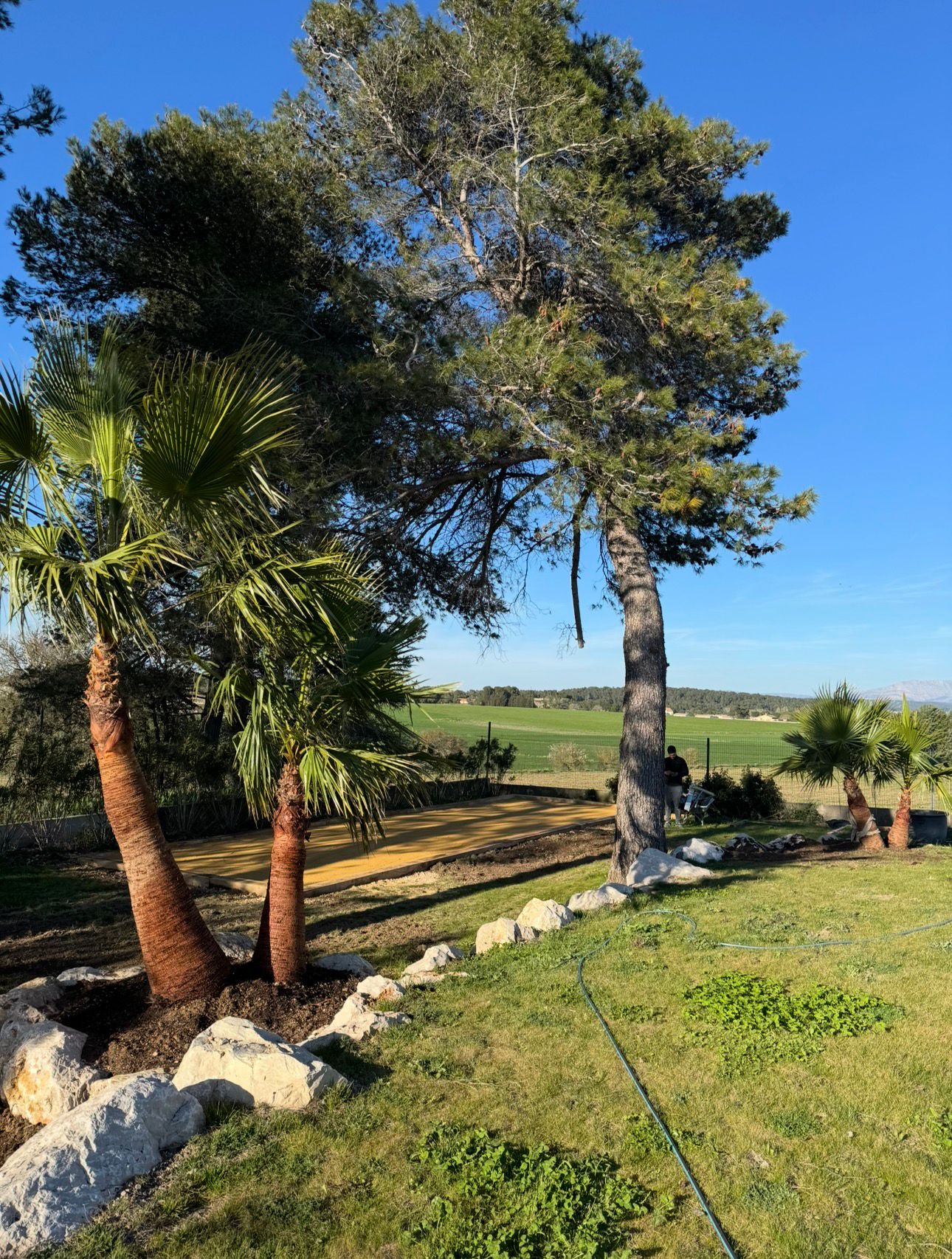 Realisation aménagement jardin 8