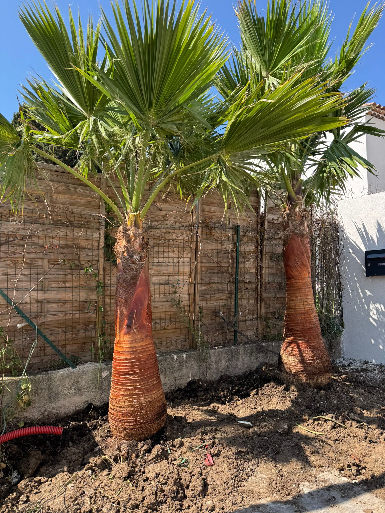 Realisation aménagement jardin 9